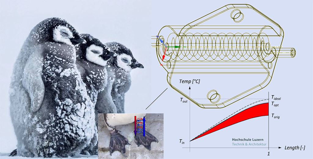 Bionic Inspired Heat Exchanger